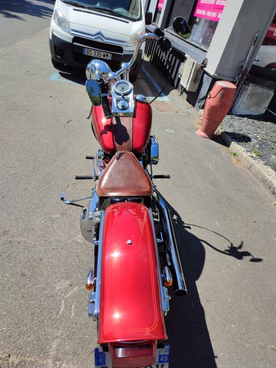 selle rigide cuir et panel cuir - West Gentlemen - Sellerie - Tapisserie